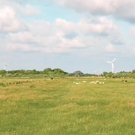 Nyaraló Stunning In With Wifi Dagebüll